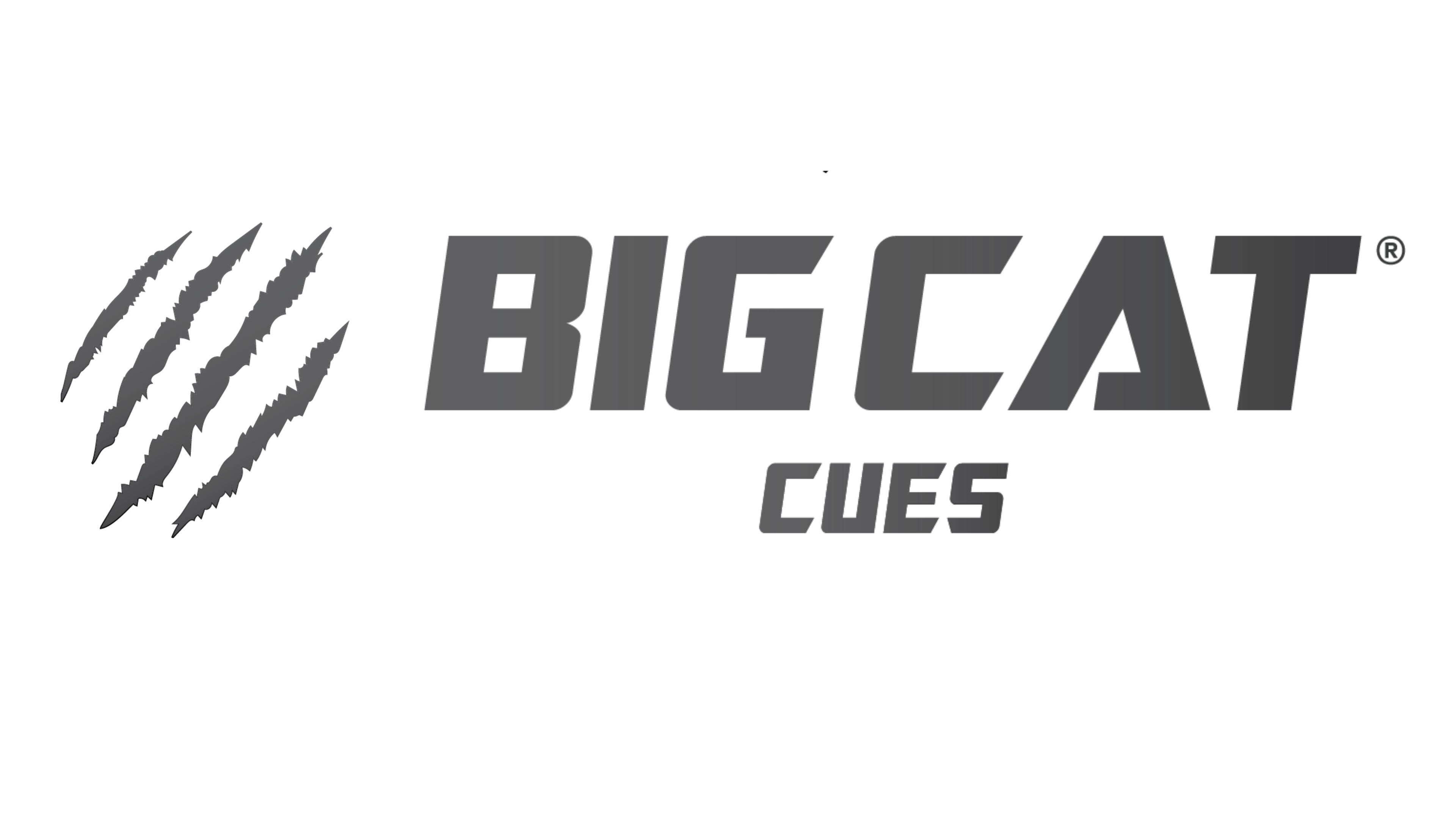 Top 10 Professional Pool Cues In Depth Reviews Guide Big Cat Cues Top 10 Professional Pool Cues In Depth Reviews Guide Big Cat Cues