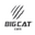 Big Cat® Cues: Best Pool Cues and Billiards Supplies logo