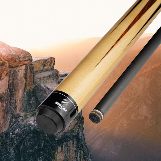 Big Cat Carbon Platinum IV Cue