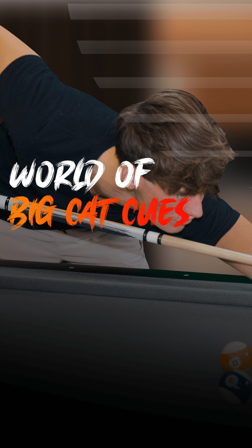 Person holding a pool cue with 'World of Big Cat Cues' text overlay